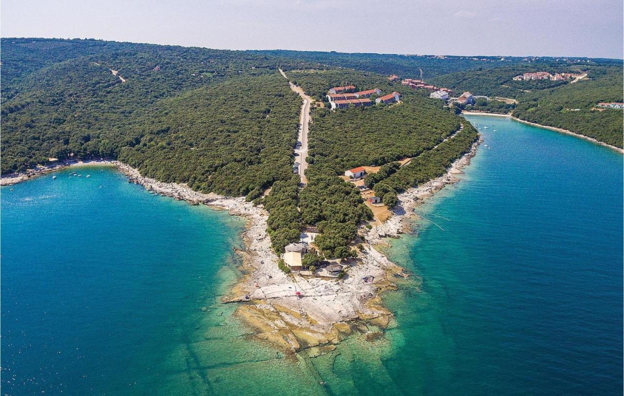 House Krizanic In Marcana, Istria, With 2 Apartments, Total 9 Guests Екстериор снимка